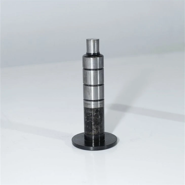 Special customized punching die 5(001)